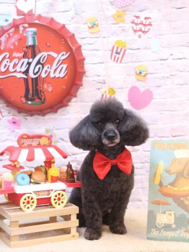 20230927セピアちゃん